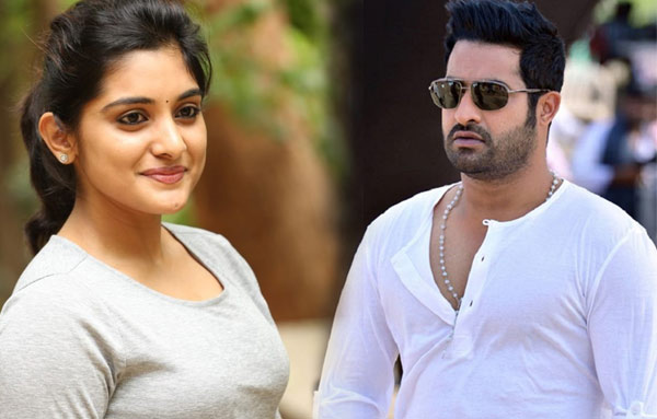 jr ntr,nivetha thomas,gentleman movie,vakkantham vamsi,young tiger  ఎన్టీఆర్ కి ఈ భామ తెగ నచ్చేసిందట!